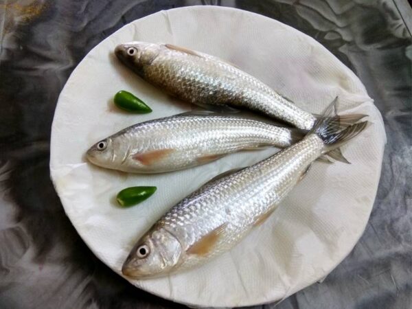 Bata (Desi) – Whole, Cleaned, (500 gms)