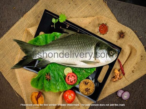 Desi (Katla)- Large – Live- Whole, Bengali Cut & Cleaned {With Head & Tail} (3 kg)